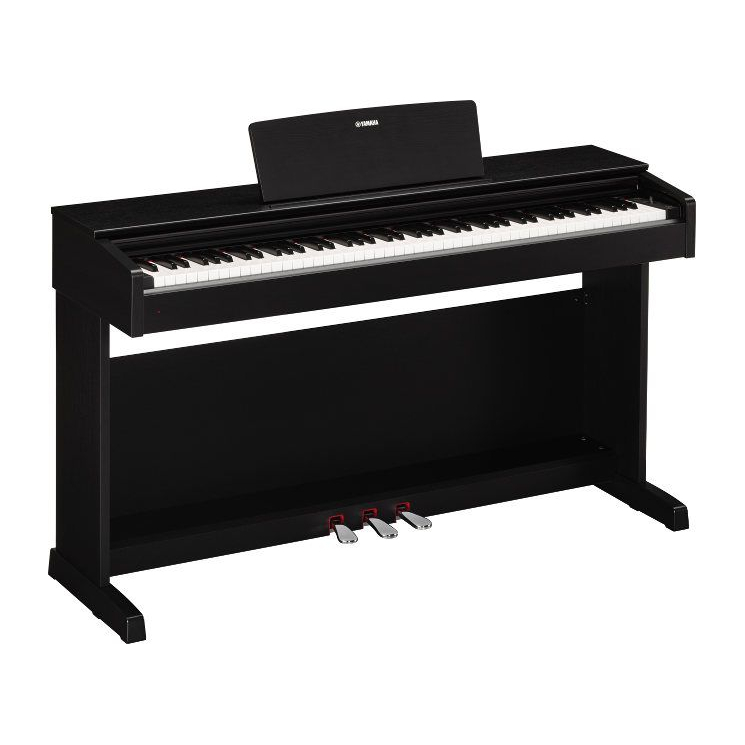 A great digital piano that has all the functionallity a student or expirenced player would need.