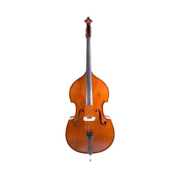 A Double Bass With such versatility and full base tone, this instrument really is a enjoyable to play.