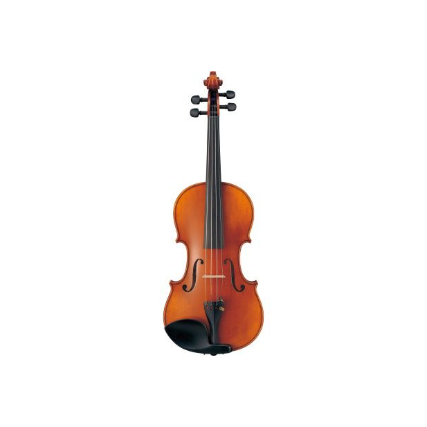 A Stentor Violin Offering a rich and clear tone perfect for a learning student.