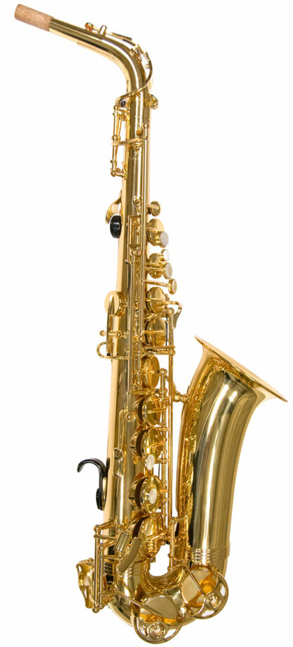 Trevor James Alphasax Alto Sax Outfit - Gold Lacquer