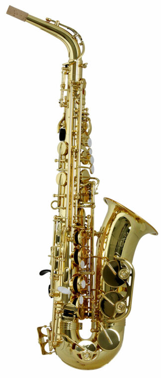 Trevor James Horn Classic II Alto Sax Outfit - Gold Lacquer