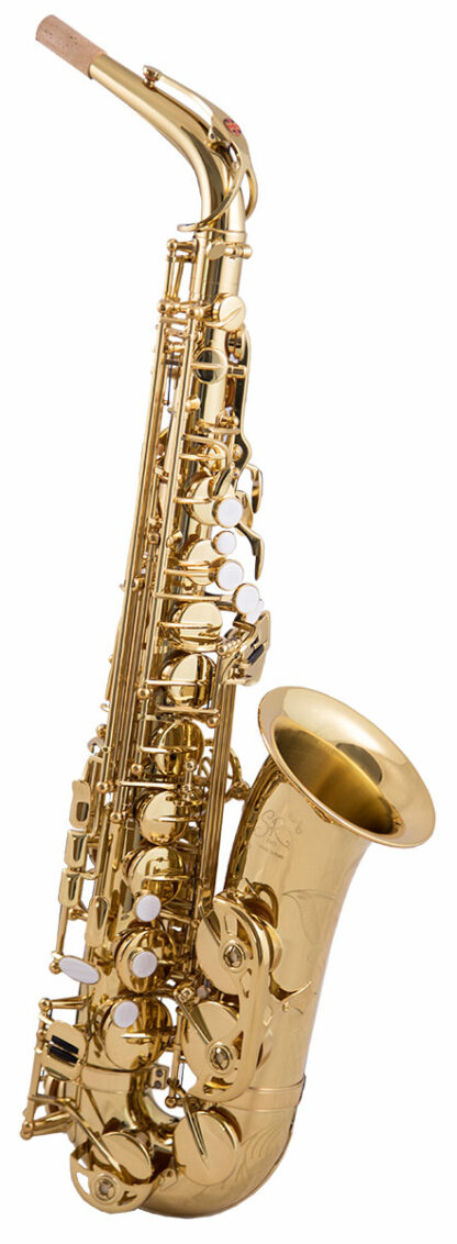 Trevor James EVO Alto Sax Outfit - Gold Lacquer
